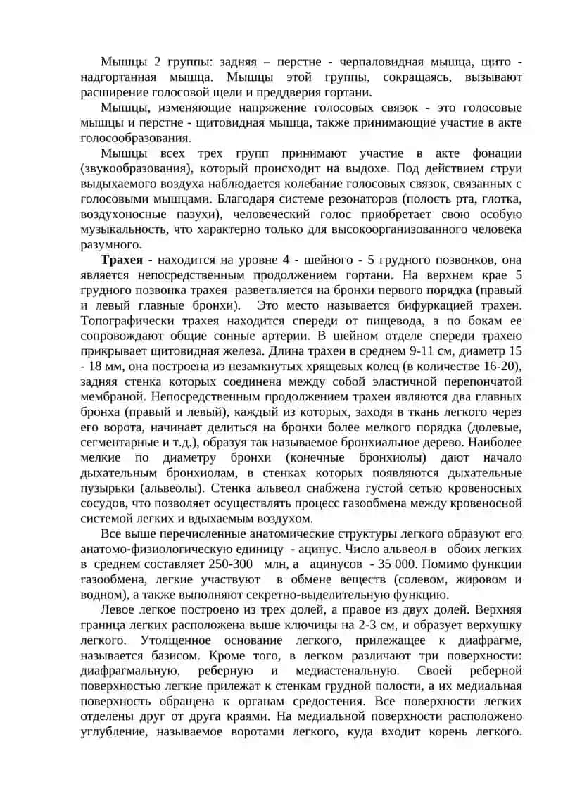 Органы дыхательной системы 4