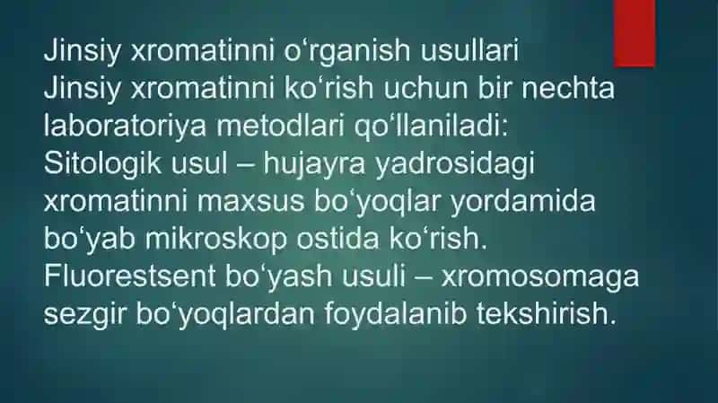 Jinsiy xromatin tushunchasi 4