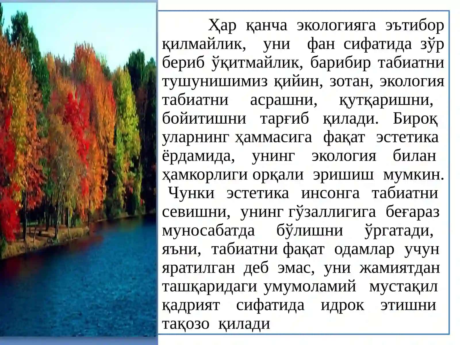 Жамият ривожида табиатга эстетик муносабатнинг шаклланиши 4