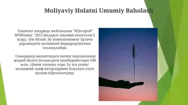 Kampaniyaning Moliyaviy Ahvoli To'g'risida Xulosa 4