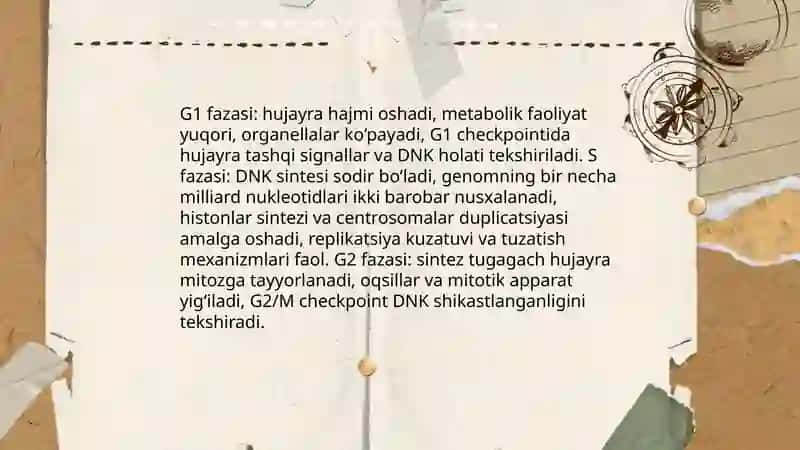 Hujayralarning mitotik va hayotiy sikli 4