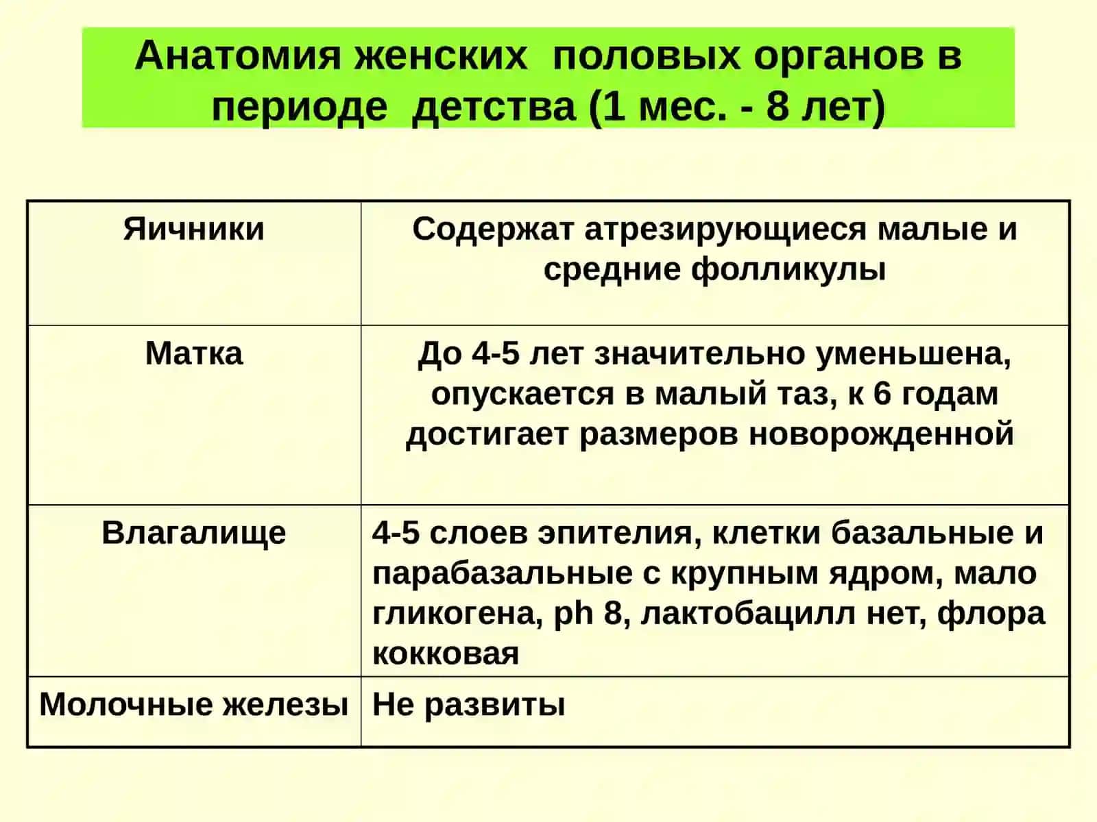 Формирование женских половых органов 4