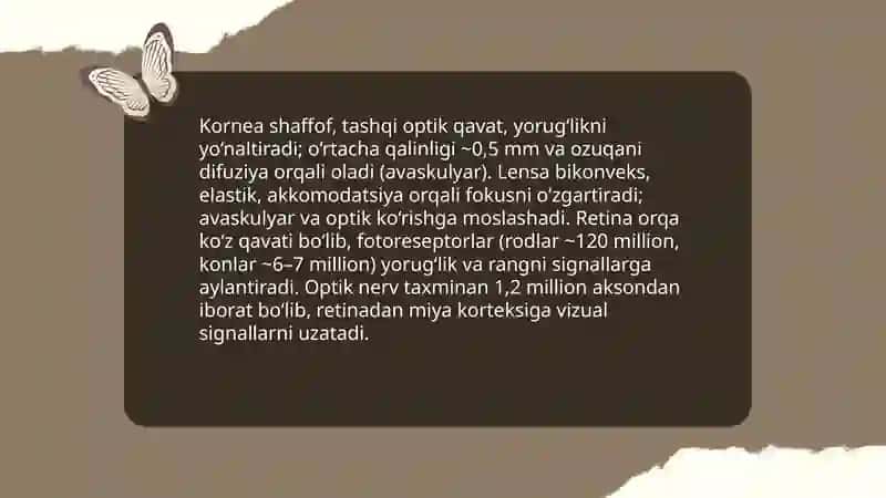 Inson sezgi a’zolari haqida umumiy tushuncha 4
