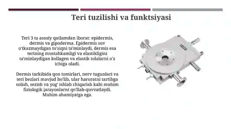 Transdermal terapevtik tizimlar 4