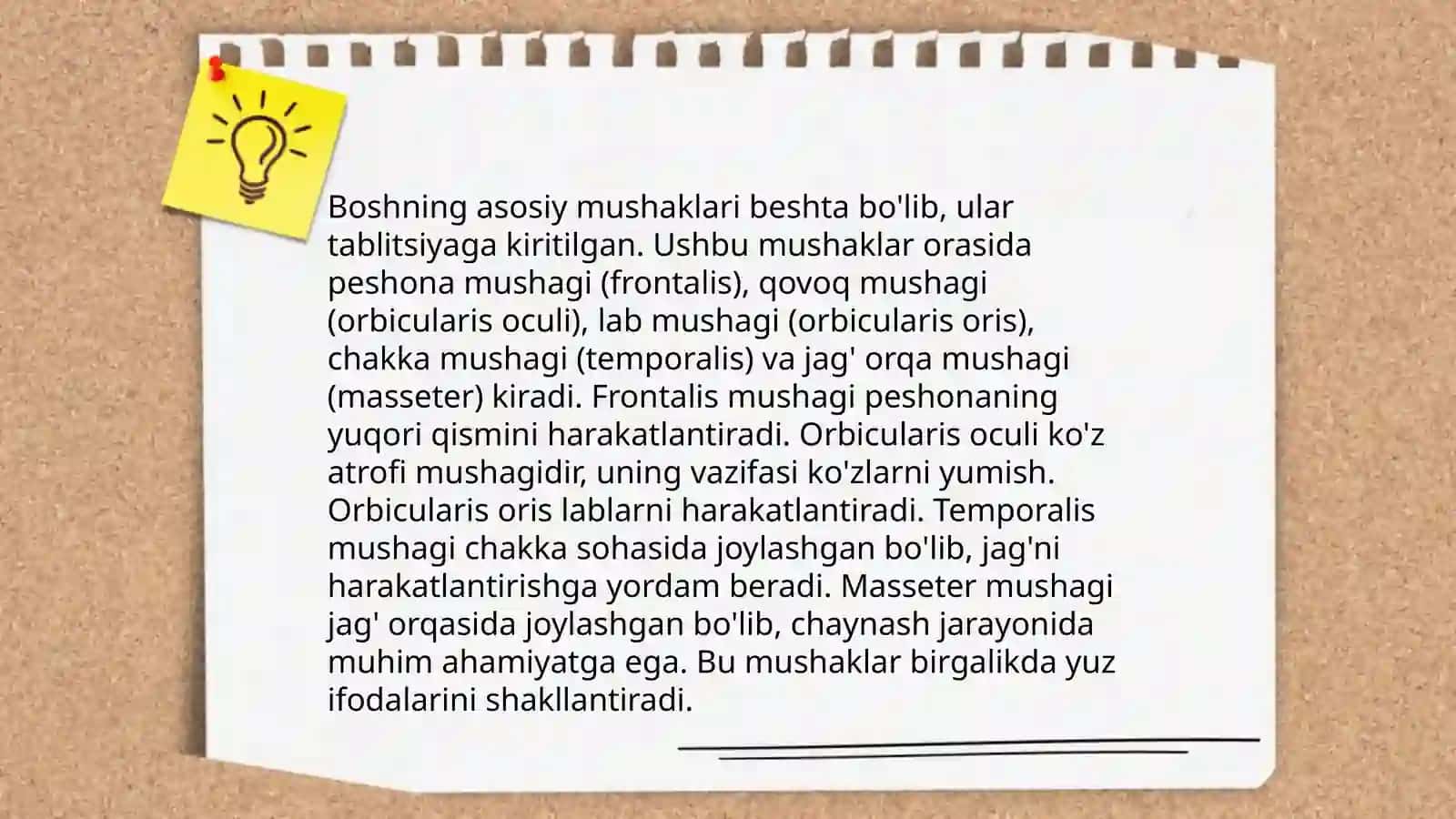 Bo‘yinning asosiy mushaklari 4