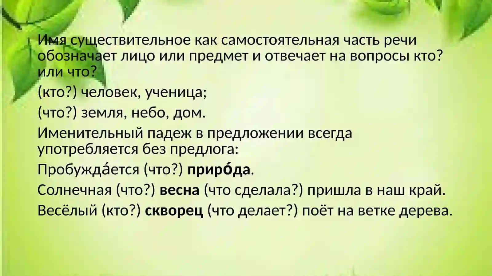 Именительный падеж имени существительного (повторение) 4