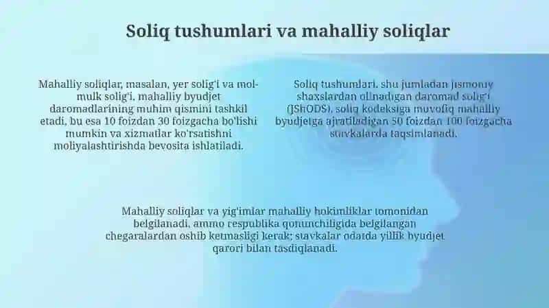 Mahalliy budjet shakllanish manbalari 4