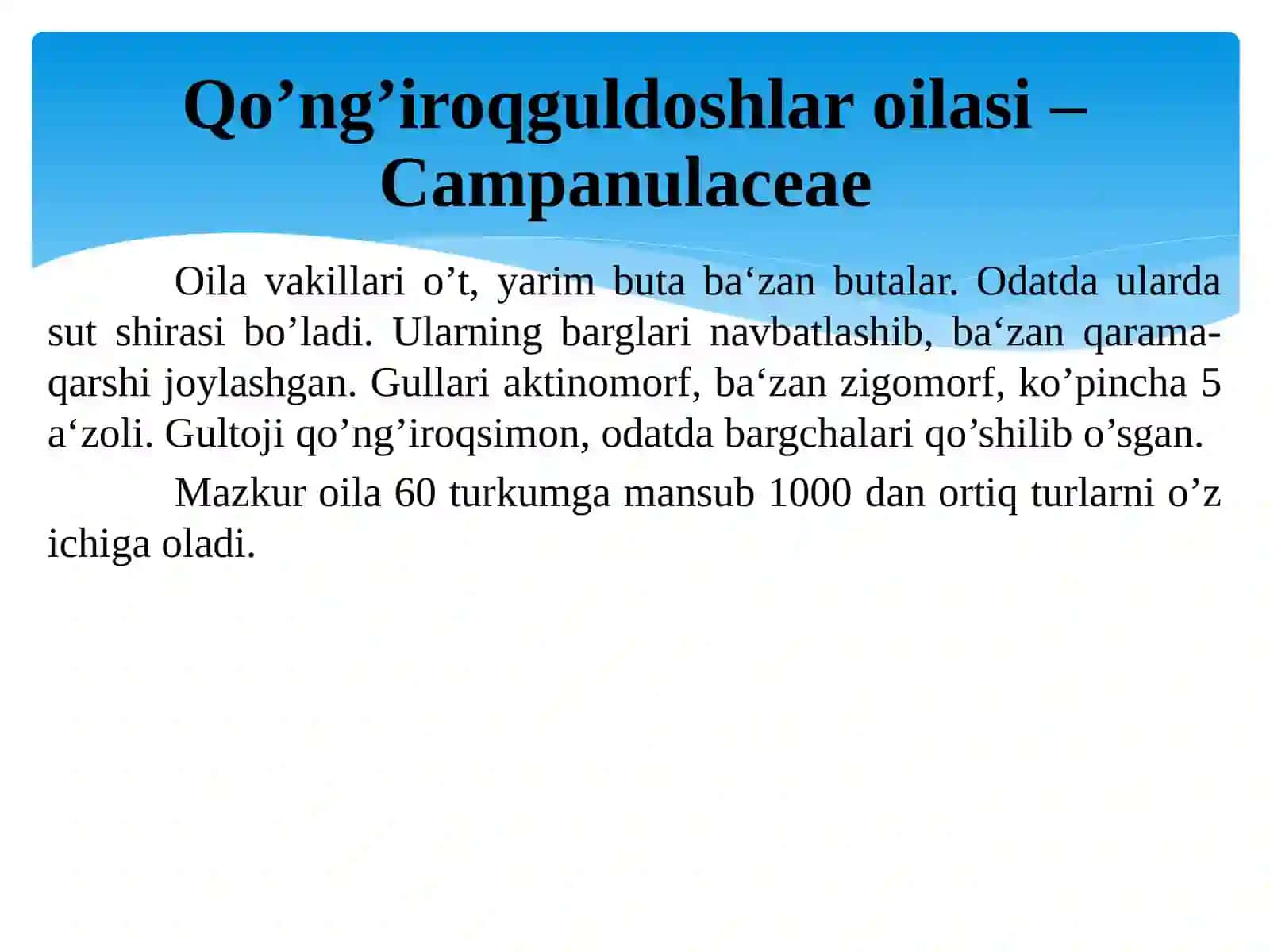 Qoqio’tkabilar kichik ajdodi – Asteridae 4