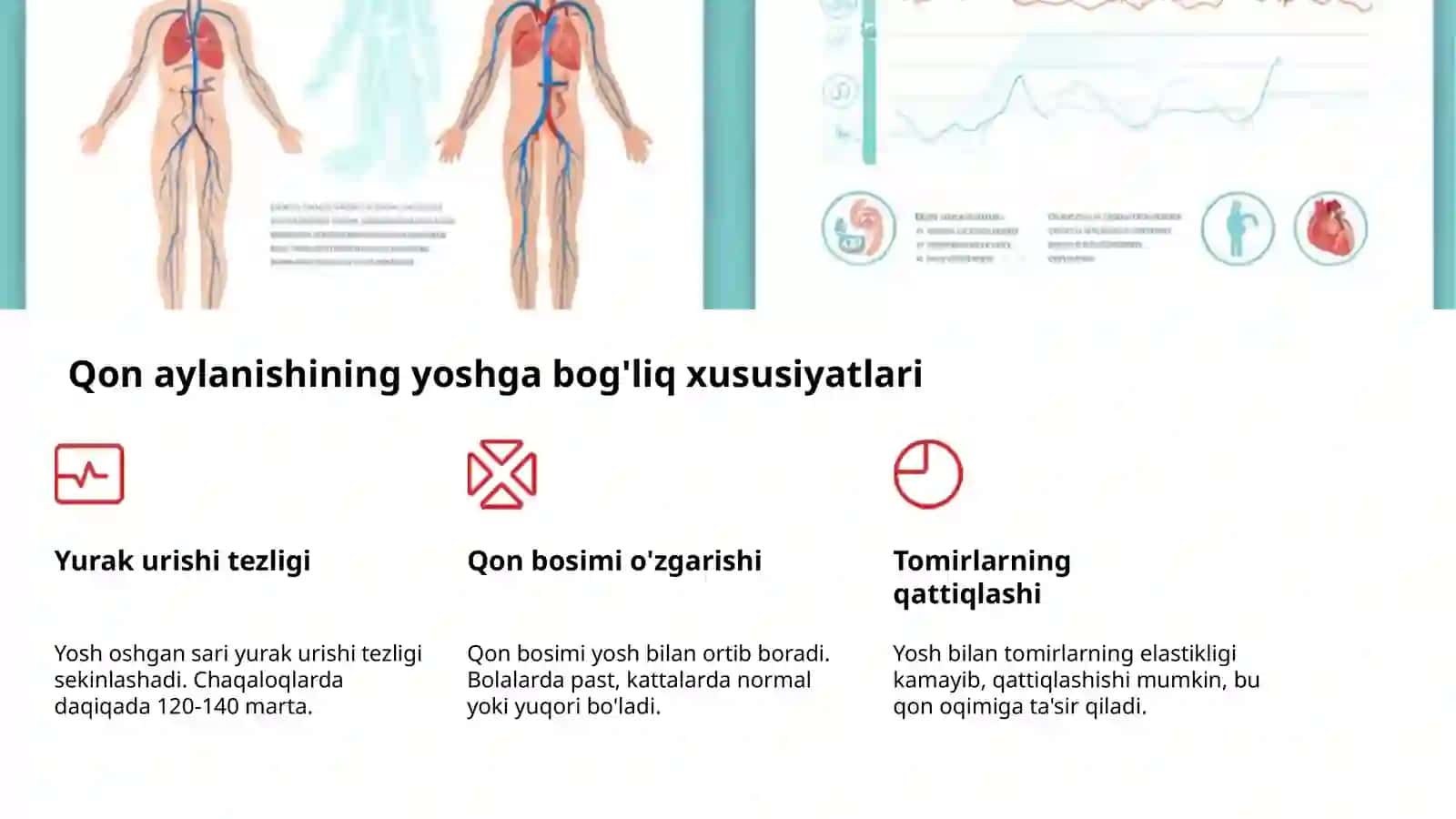 Yoshlar qon aylanishi va gigiyenasi 4