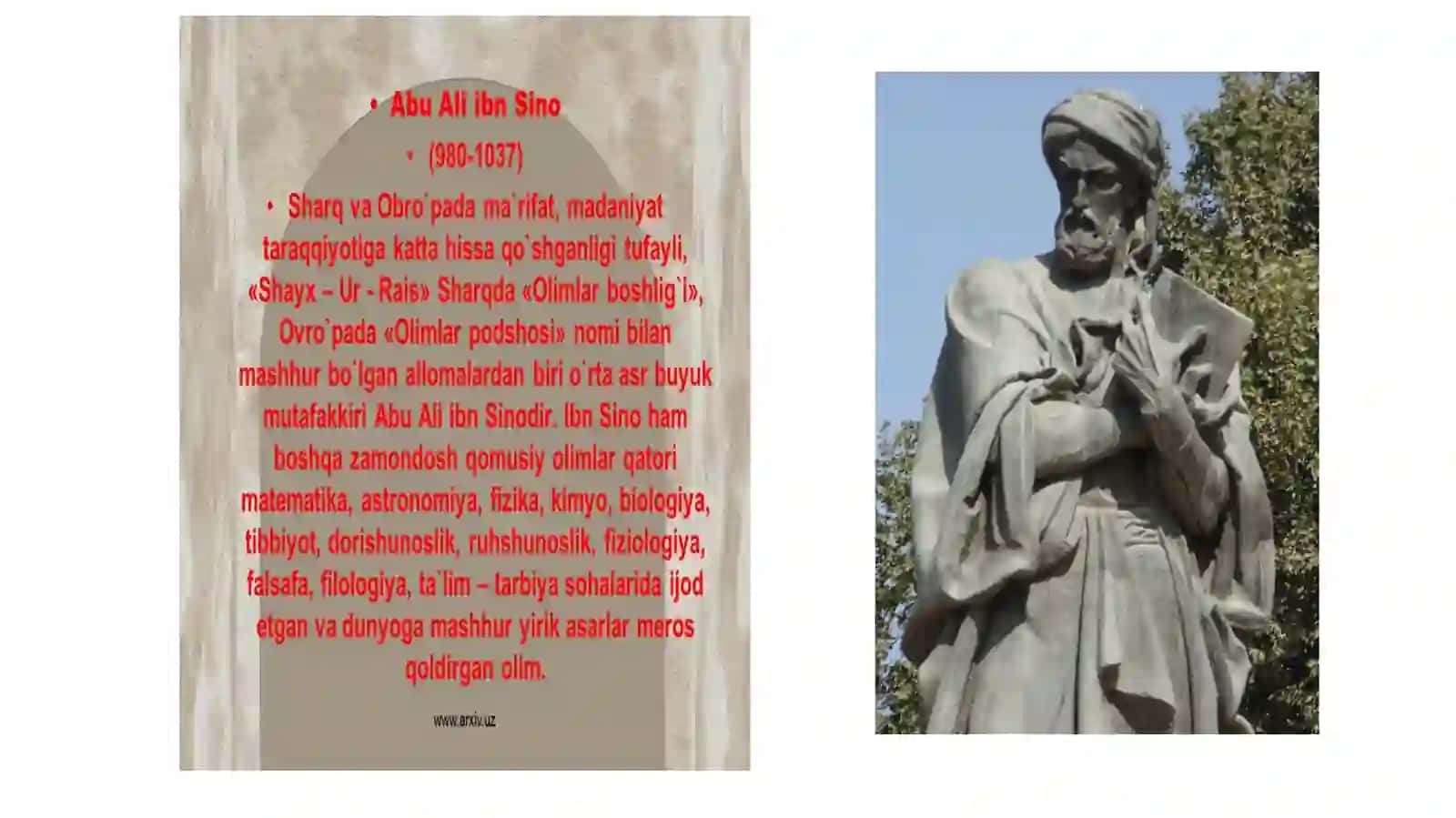 Ibn Sinoning hayoti va faoliyati 4
