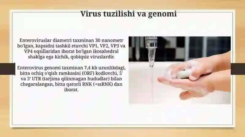 Enteroviruslar va ularning xususiyatlari 4