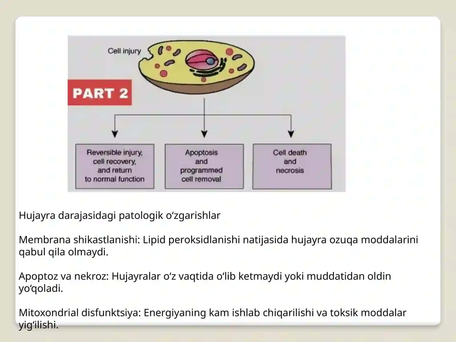 Organizmdagi keksayish davriga xos o'zgarishlar 4