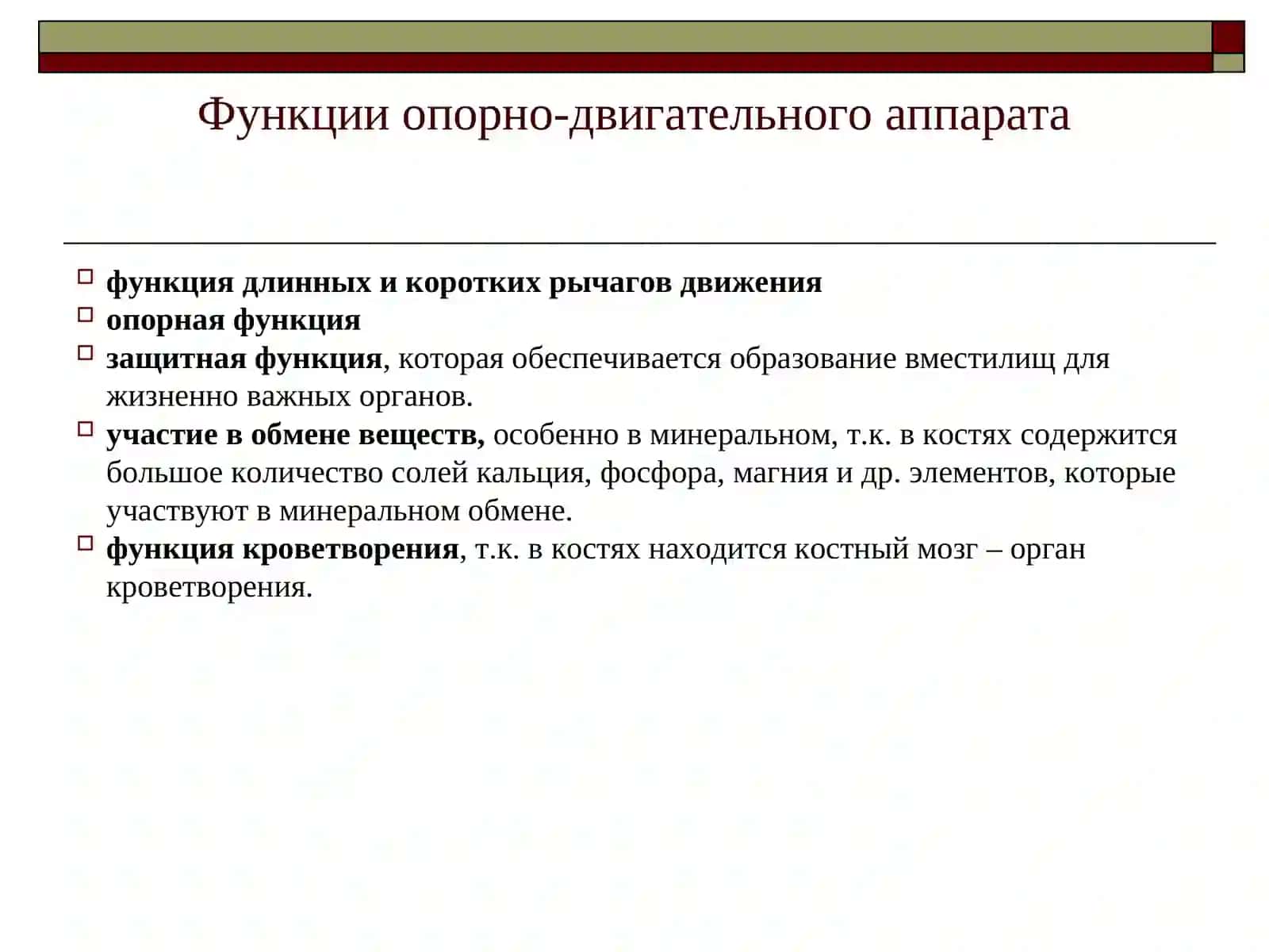 Введение в остеологию 4