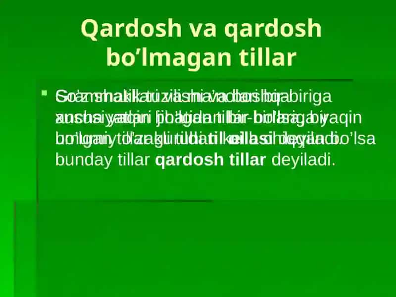 TILLARNI TASNIFLASH ASOSLARI 4