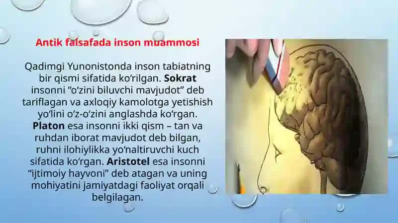 Falsafada inson muammosi qanday yondashuvlarga koʻra oʻrganiladi? TAQDIMOT 4