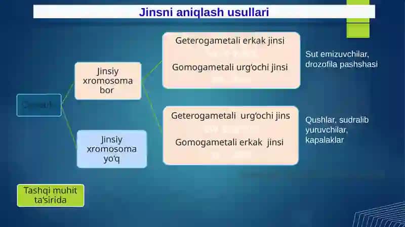 Jinsgenetikasi 4
