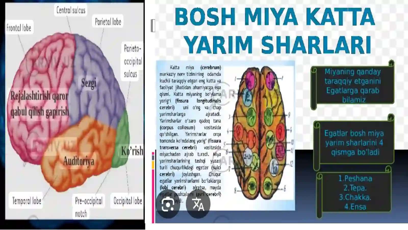 Unamsiz pikirlew, stress ha'm sharshawdin' aldin aliw. 4