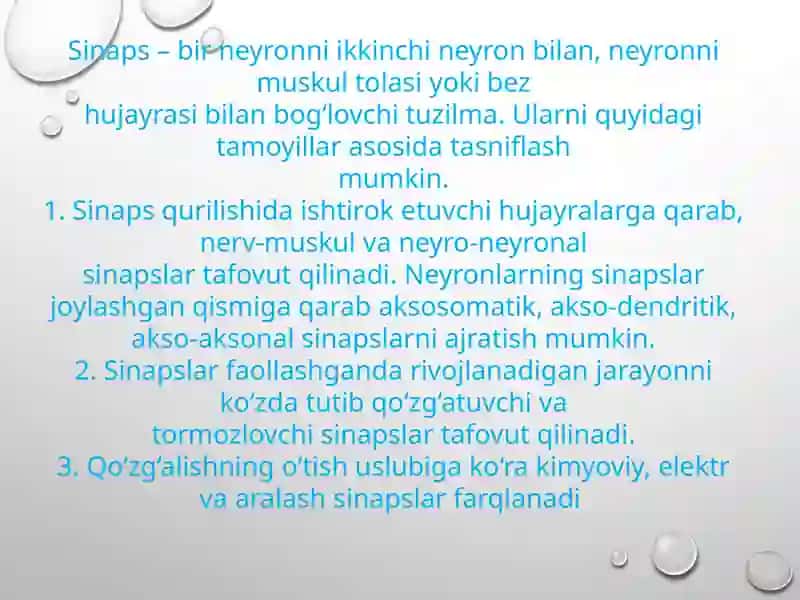 Sinapslar fiziologiyasi 4