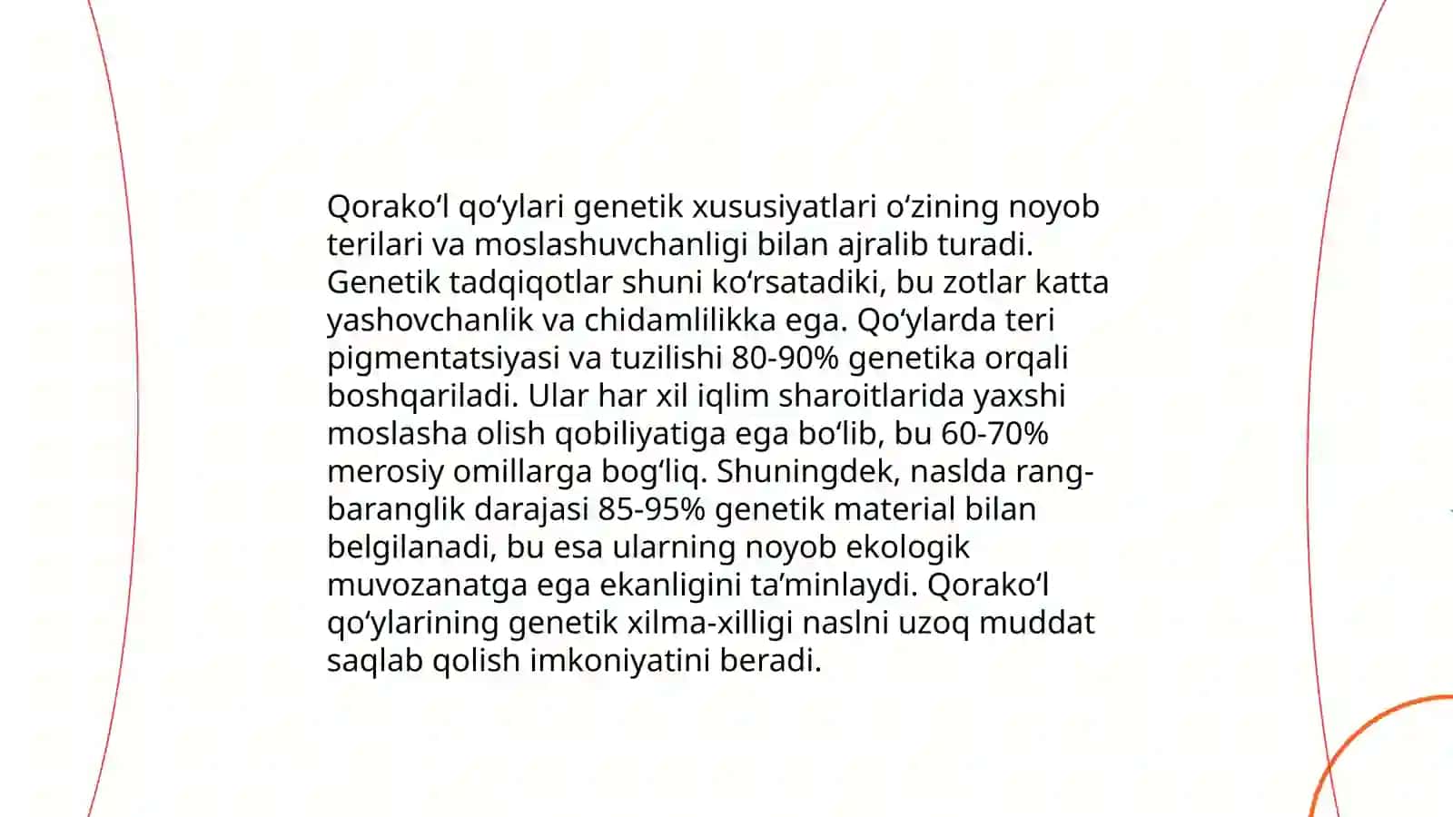 Qorako'l zotli qo‘ylari 4