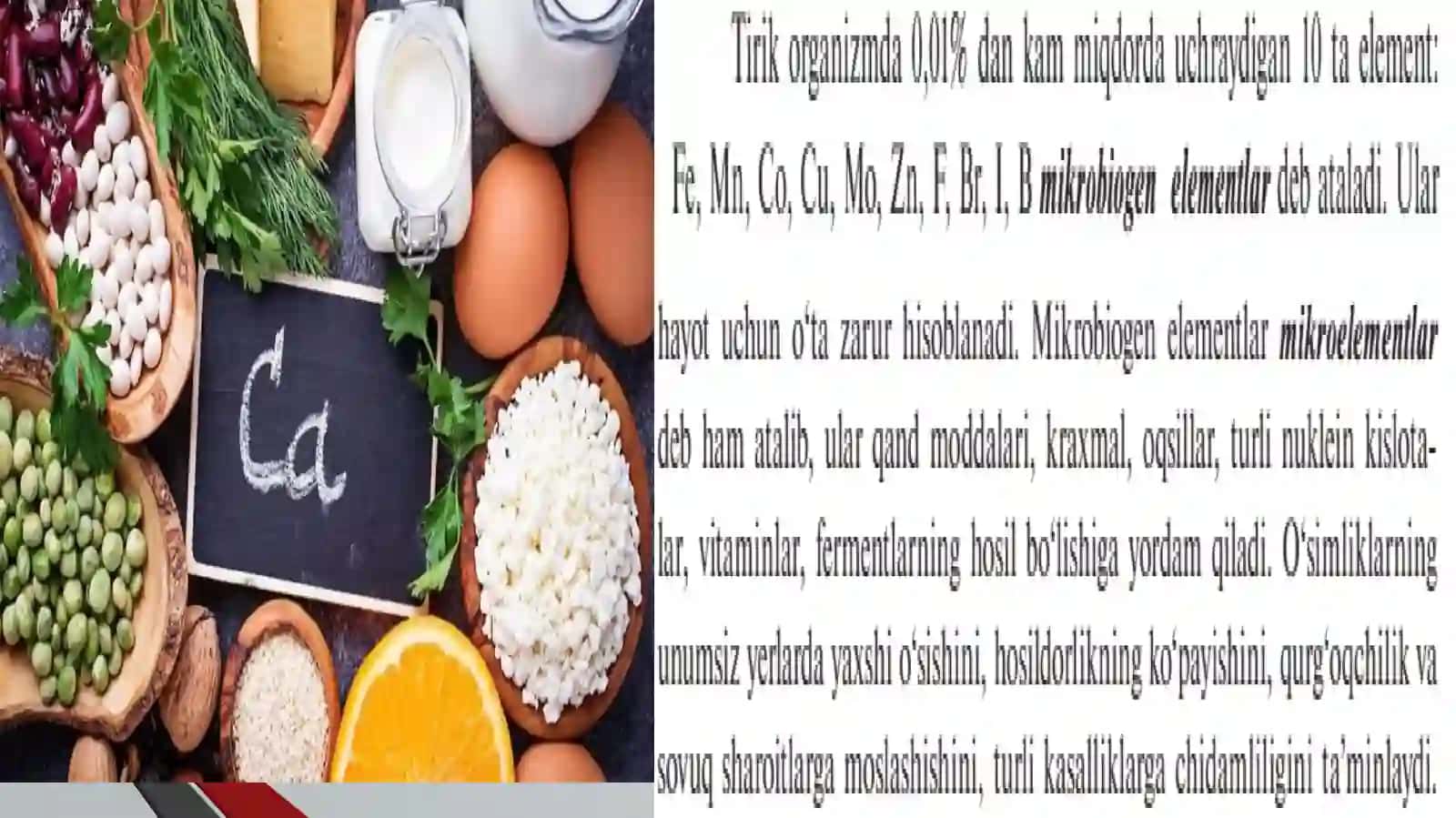 Biogen elementlar va ularning tirikorganizmlardagiahamiyati 4