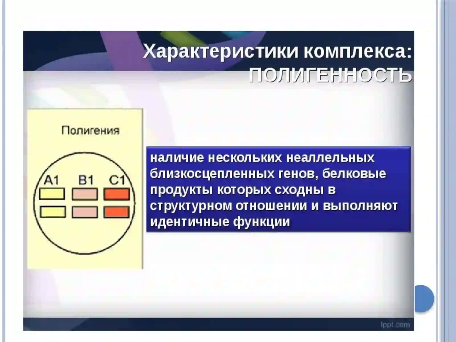 Главный комплекс гистосовместимости 4