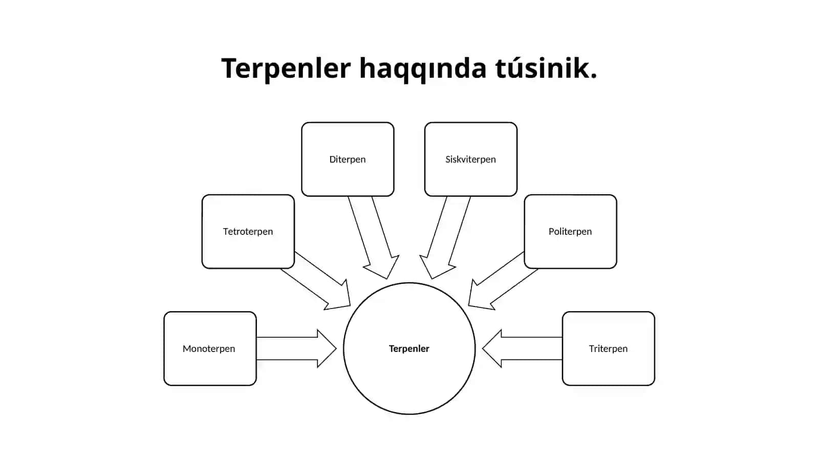 Kelip shıǵıwı ekilemshi bolǵan zatlar 4