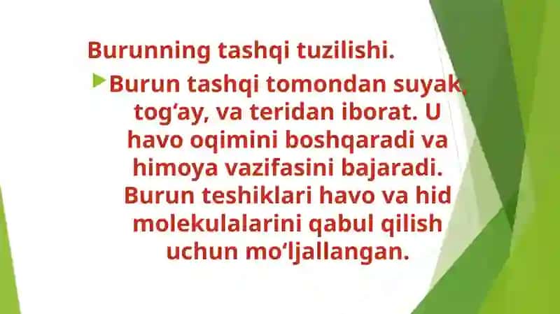 Hidbilishaʼzosi 4