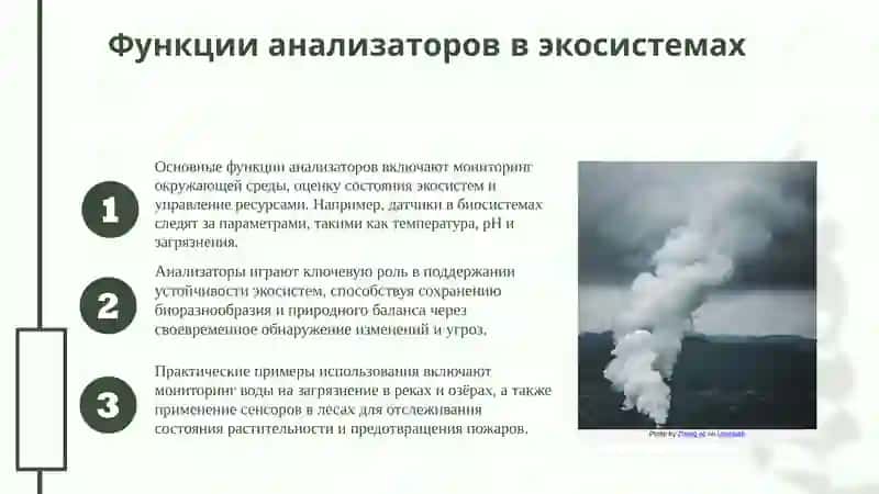 Общее представление об анализаторах 4
