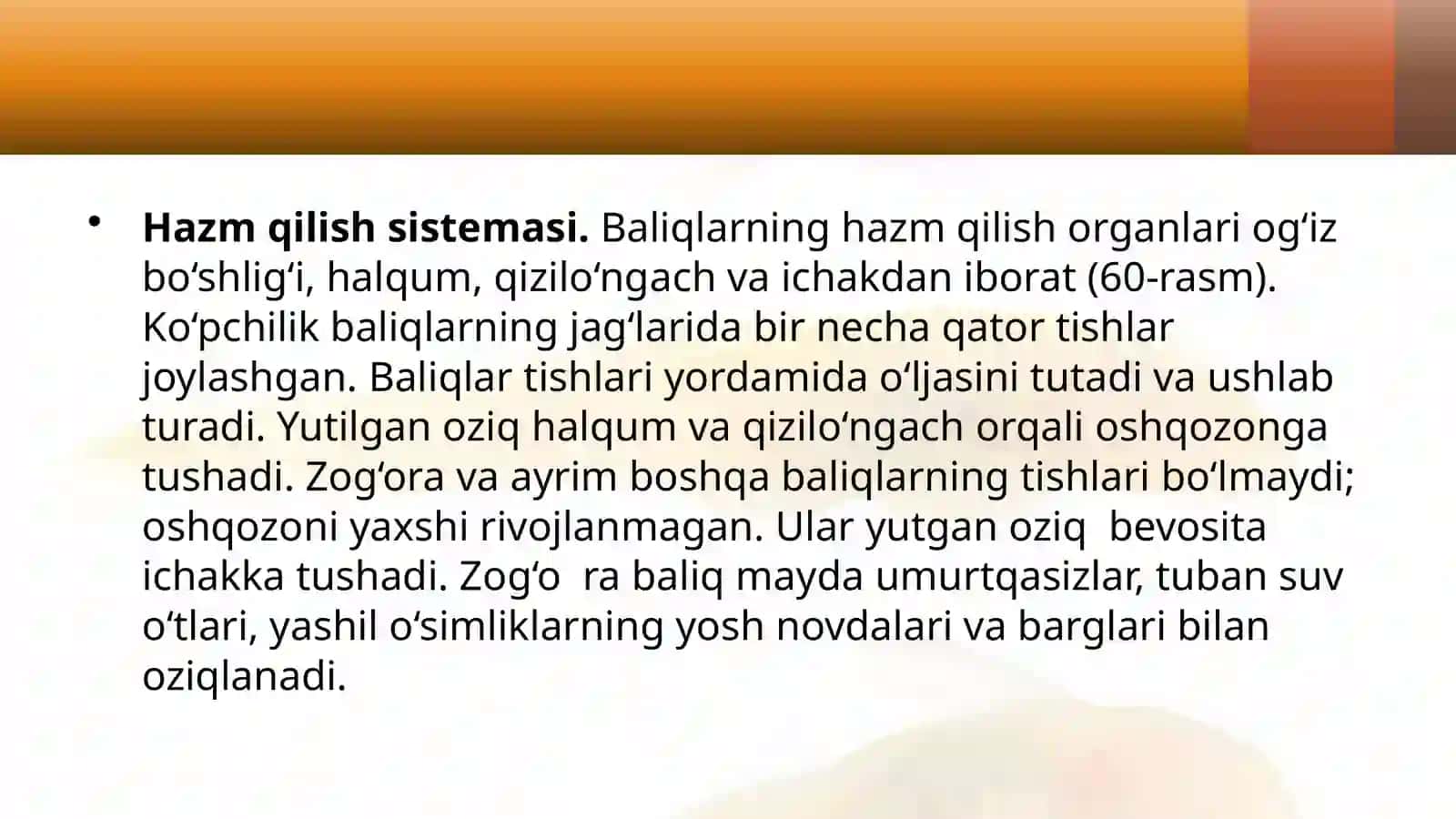 Baliqlarning ichki tuzilishi 4