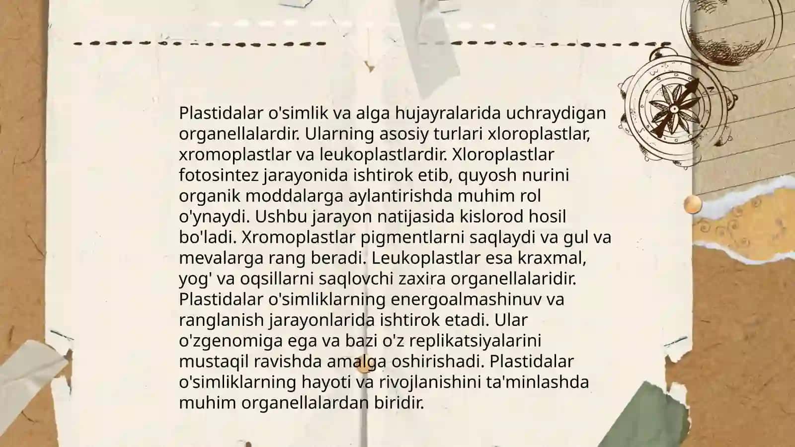 Plastidalar va ularning tiplari, tuzilishi 4
