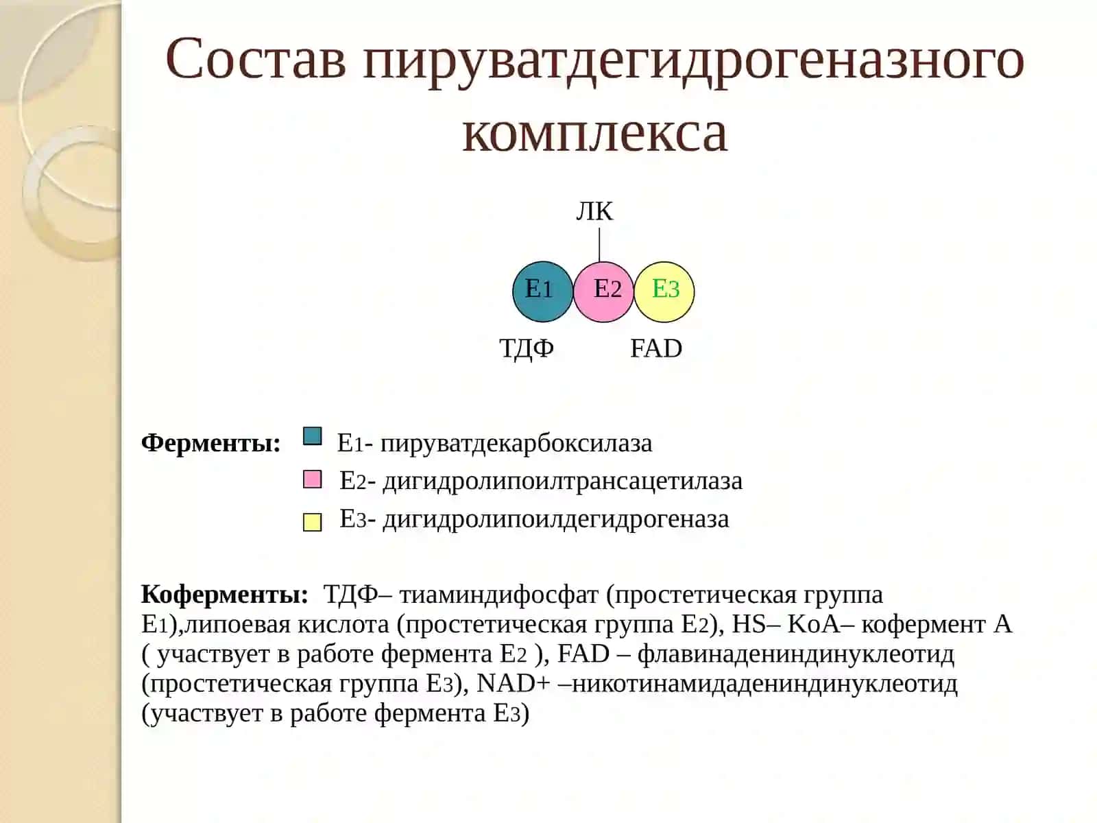 Цикл трикарбоновых кислот 4