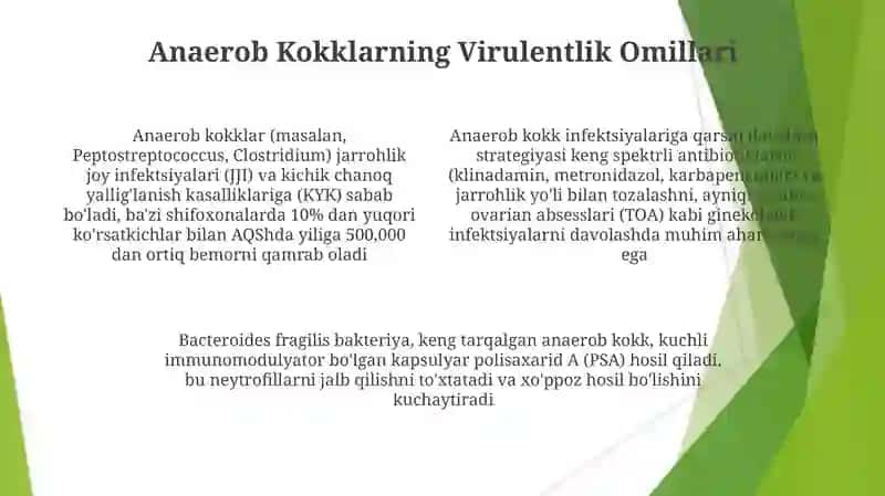Anaerob Kokklar: Umumiy Ma'lumot 4