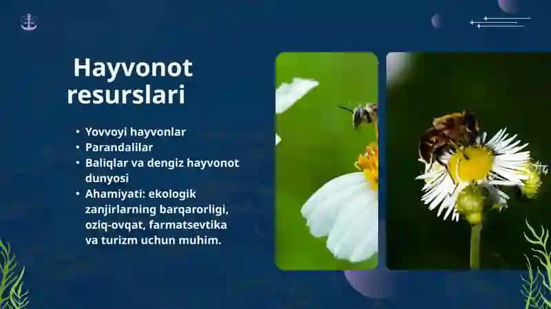 Biologik resurslar 4