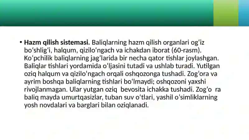 Baliqlarning ichki tuzilishi 4