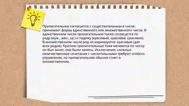 Согласование прилагательных с существительными 4