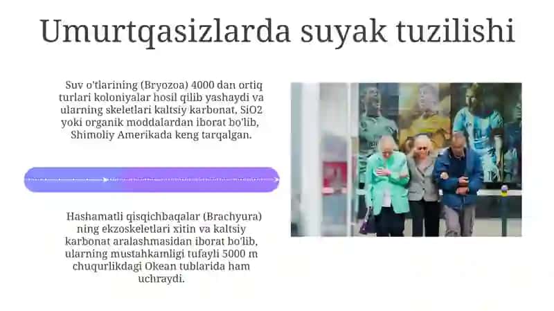 Suyak tuzilishi 4