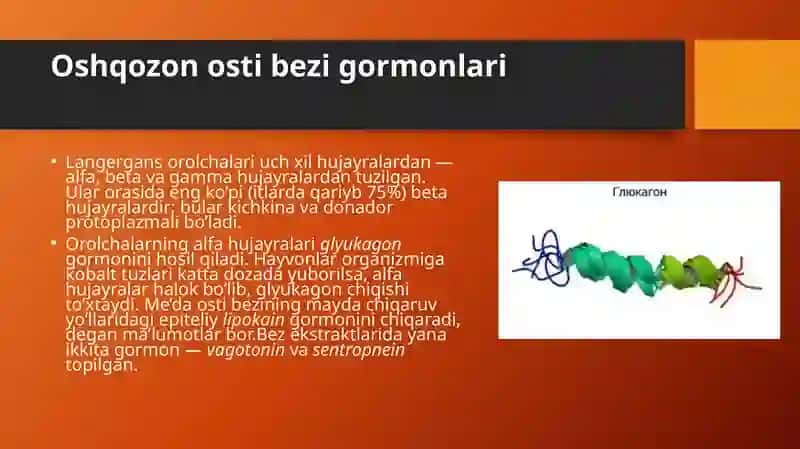 Garmonlar va Psixika 4