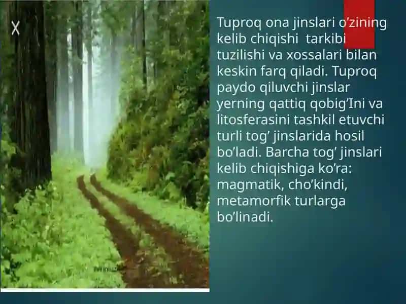 Tuproq ona jinsi vamexanik tarkibi 4