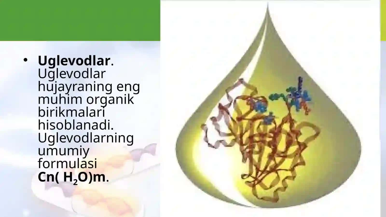Uglevodlar va lipidlar 4