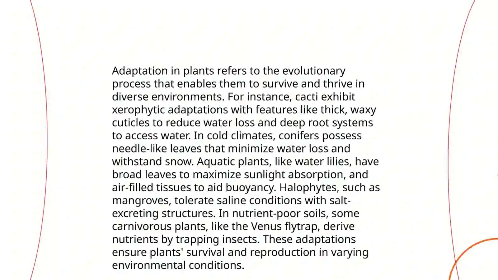 Adaptation 4