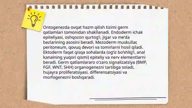 Ayirish tizimi onto-filogenezi 4