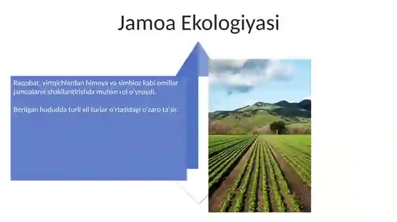 Ekologiya 4