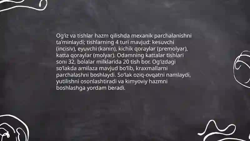 Ovqat hazm qilish 4