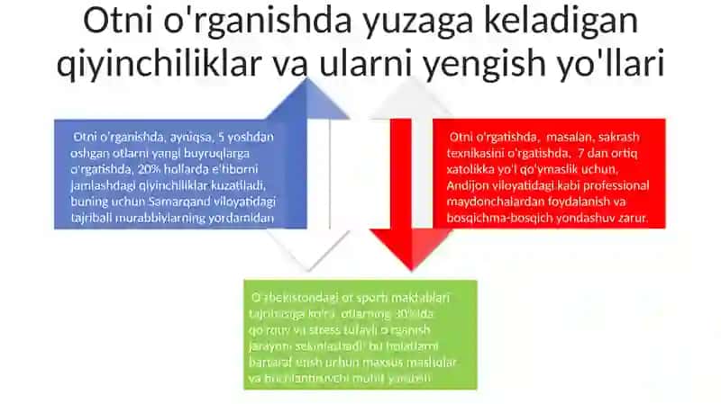 Otni o'rganish metodikasi 4