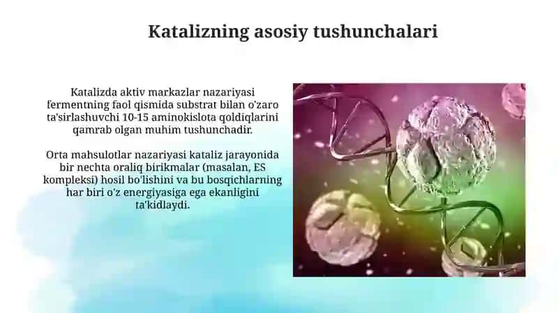 Kataliz nazariyalari.Fermentativkataliz 4