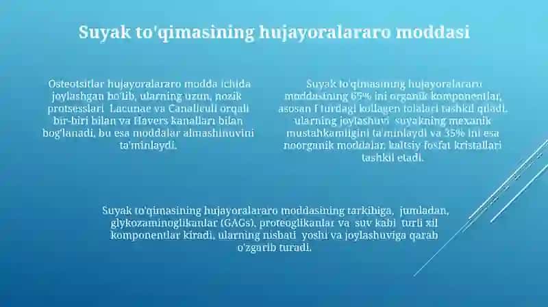 Suyak toʻqimasining gisto tuzilishi 4