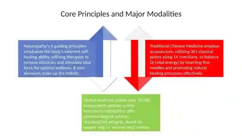 Presentation on Natural Medicine 4