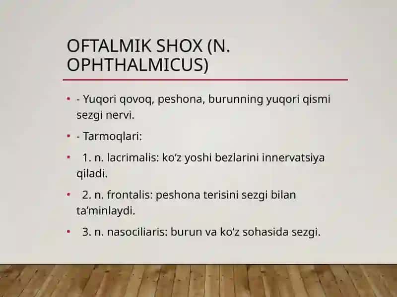 Uch Shoxlik Nerv va Uning Vegetativ Tugunlari 4