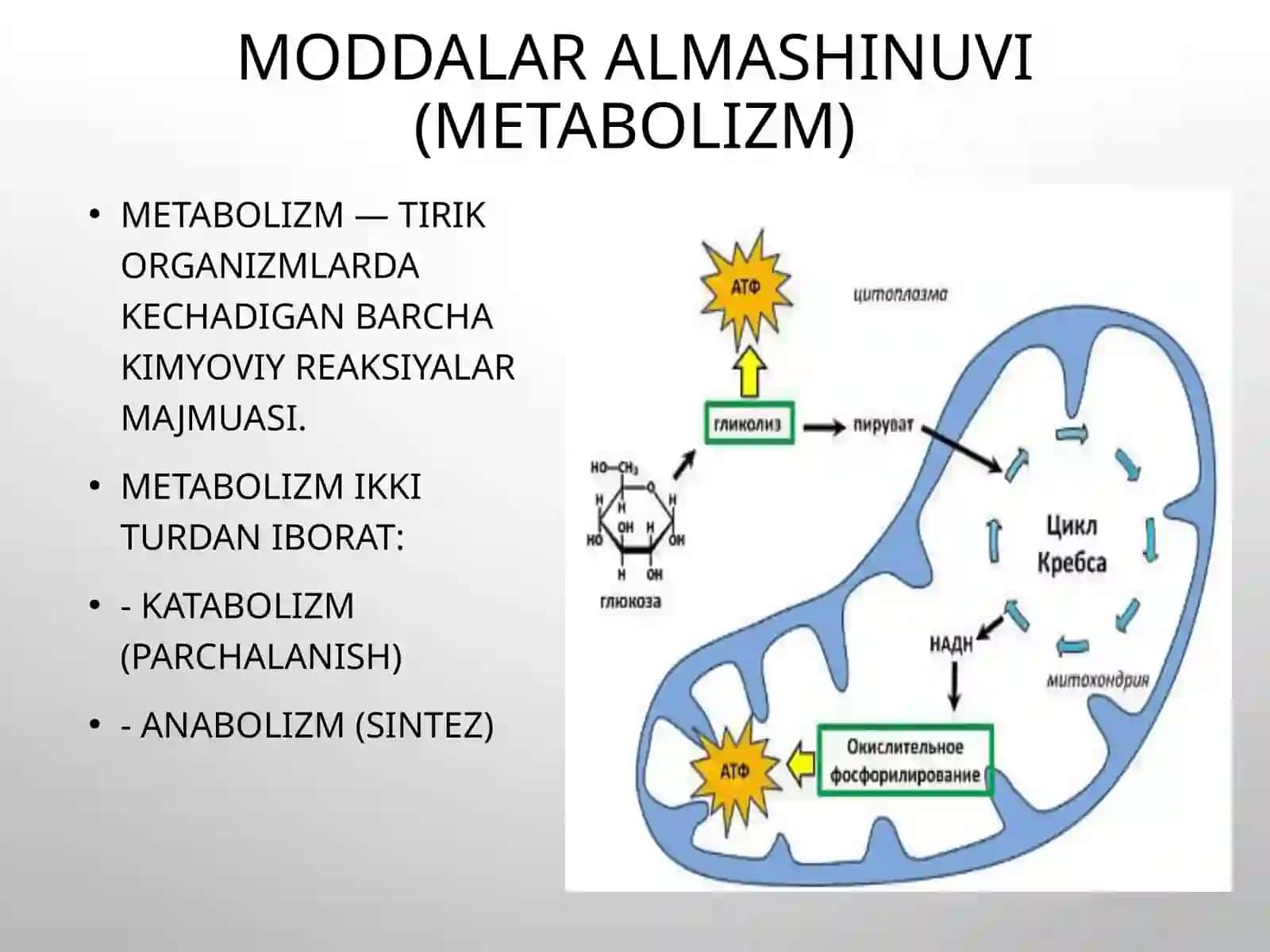 Moddalaralmashinuvi 4