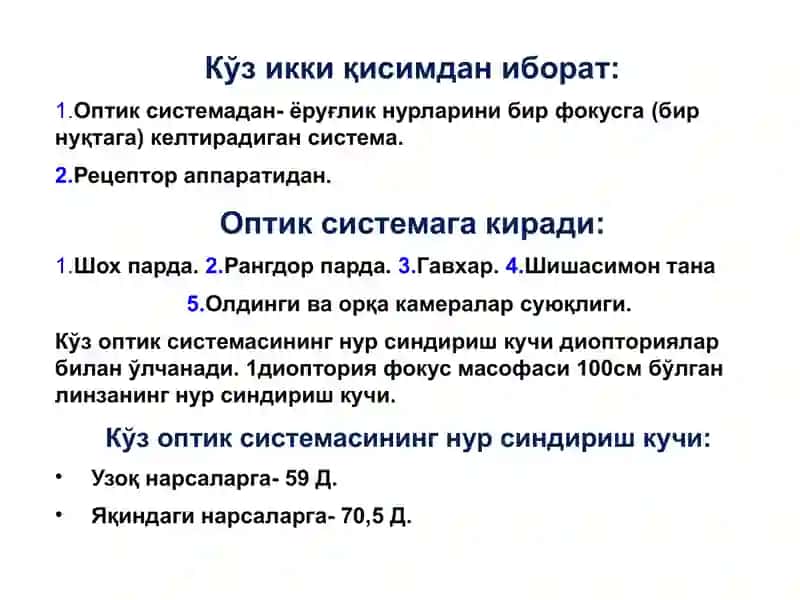 Кўзнинг тузилиши 4